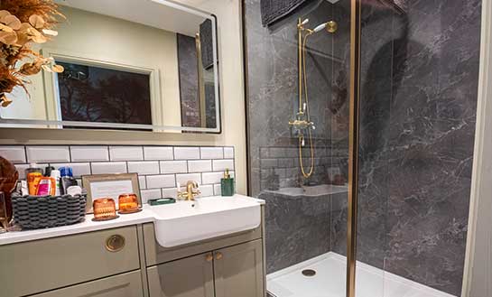 Ensuite shower and bathroom